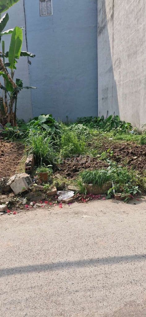 Đất xây nhà dòng tiền khu vực cho thuê cao