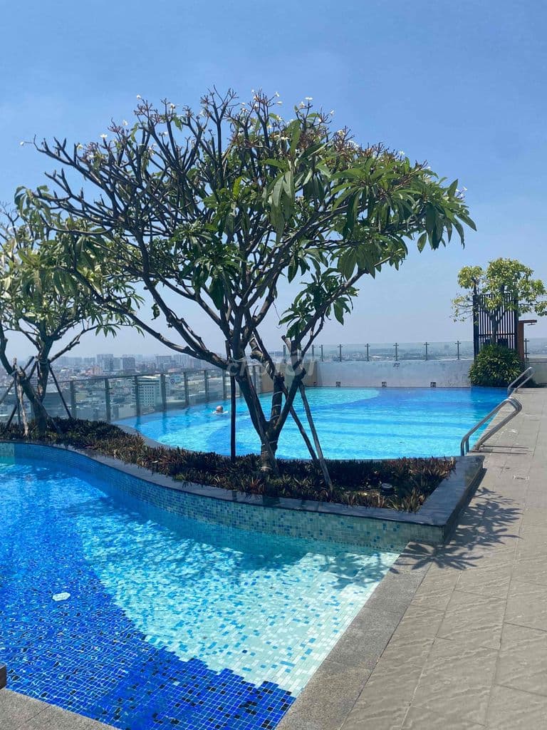 Bán chung cư Novaland Botanica Primier Hồng Hà , 55m2, Giá 4,55tỷ - Ảnh 2