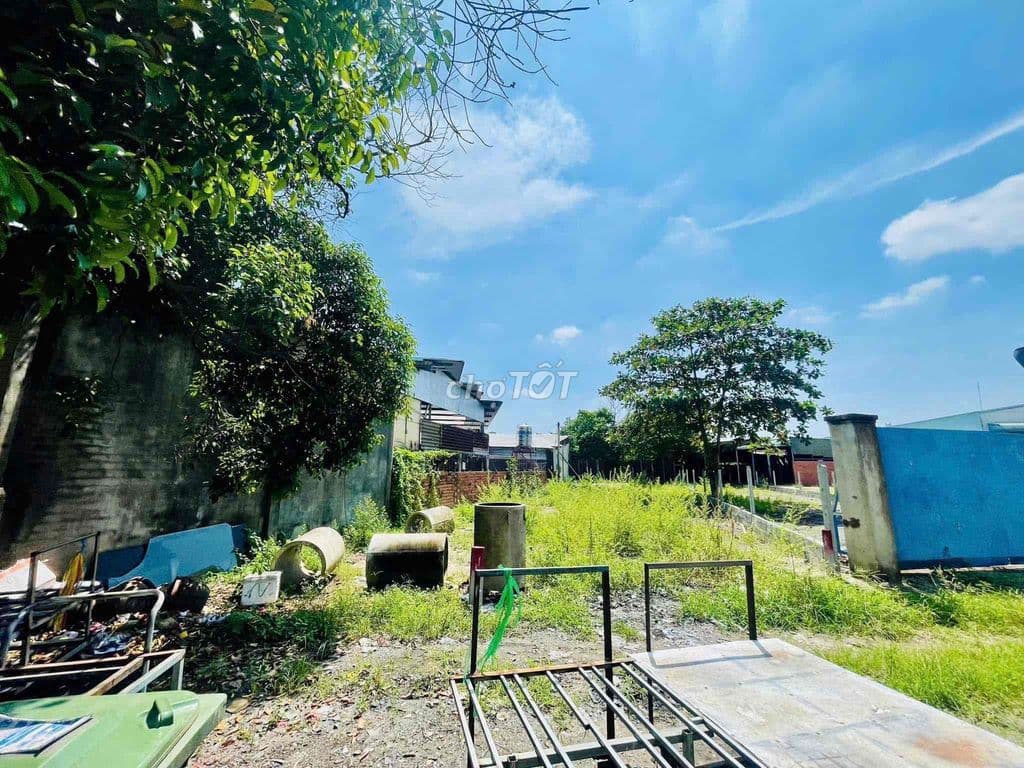 136m2 SHR gần Chợ sáng Tân Phú Trung Củ Chi, thổ cư xây dựng tự do.