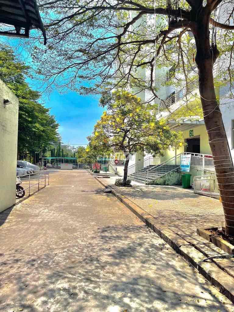 Bán Chung Cư Nhất Lan . Chợ Đêm Bà Hom. 58m2. 2pn. SHR. Chỉ 2 tỷ TL - Ảnh 2