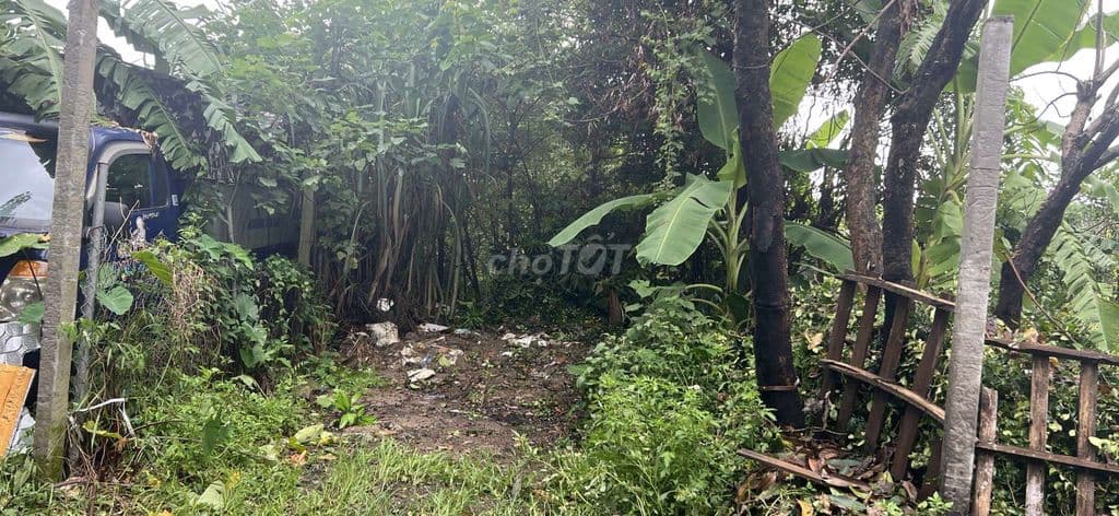 Bán vườn tại Phú Diễn, đẹp oto vào tận nơi