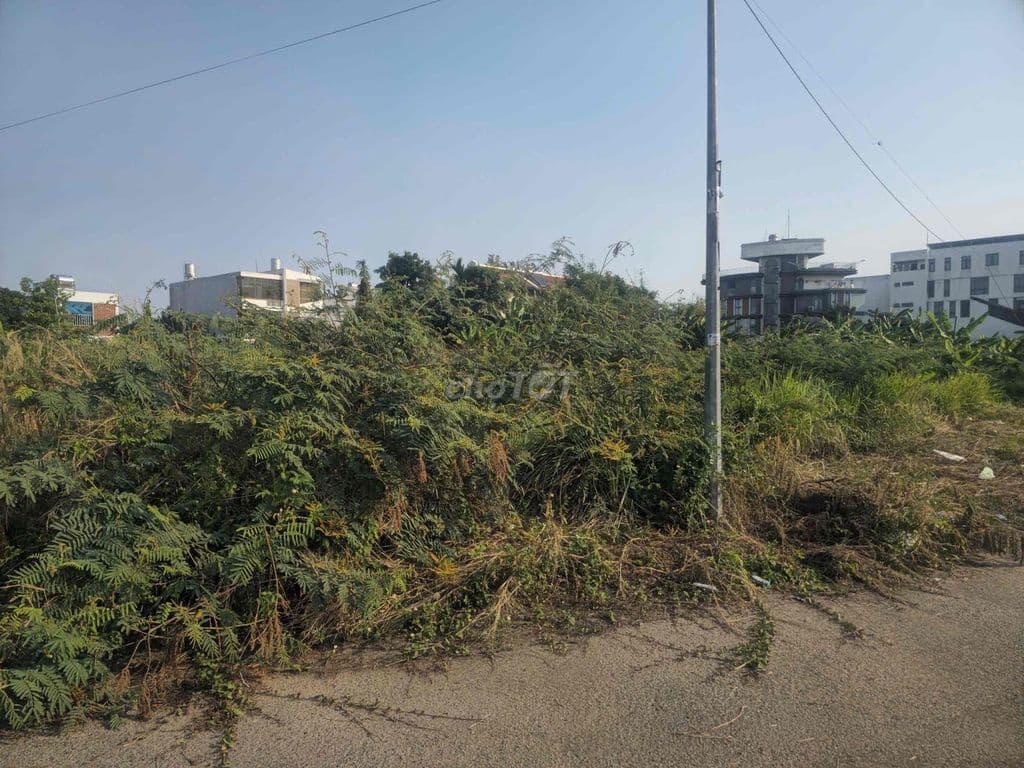 Đất mặt tiền đường xe tải, 432 m2, chỉ 58 tr/m2, - Ảnh 2
