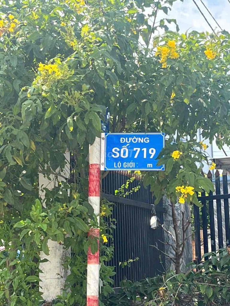 BÁN GẤP ĐẤT CỦ CHI - Ảnh 3