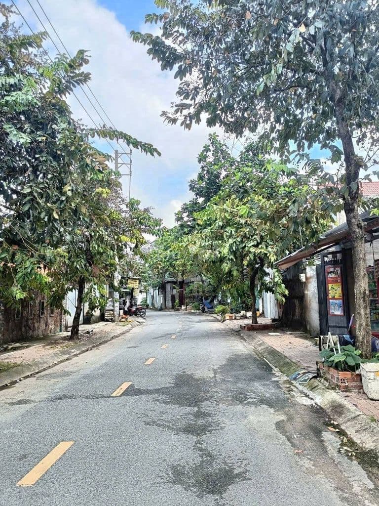 Đất 7x22 mặt tiền Tân Xuân 3 khu dân cư hiện hữu - Ảnh 3