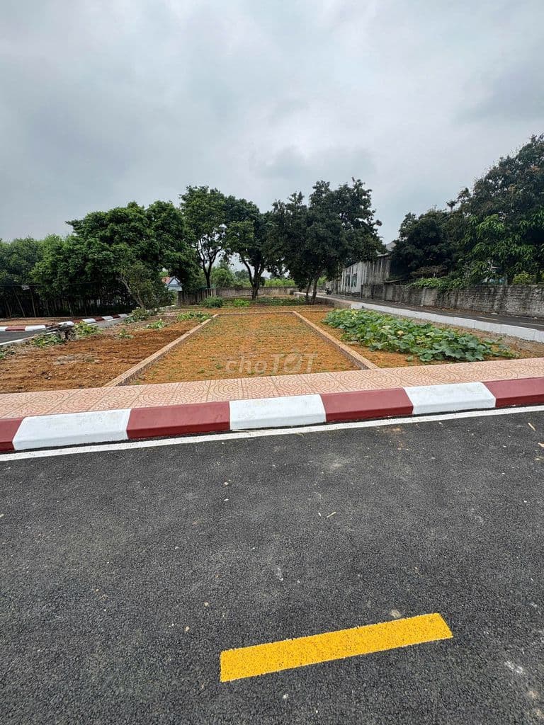 Đất nền đô thị khu đô thị đại học Hà Nội giá chỉ từ hơn tỷ - Ảnh 2