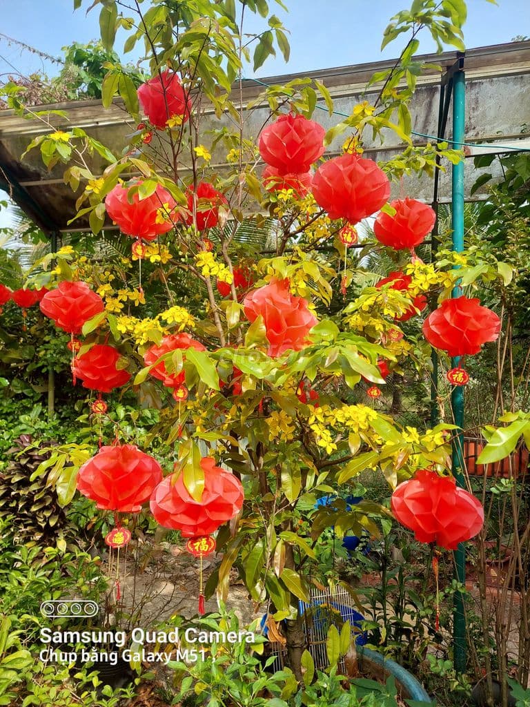 Cần bán đất xã phước thạnh củ chi - Ảnh 3