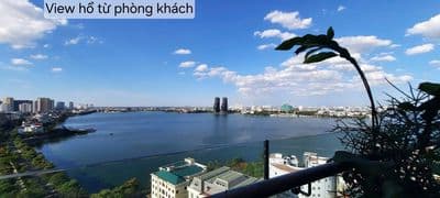 Chính chủ cho thuê căn hộ chung cư 2n1k lạc long quân