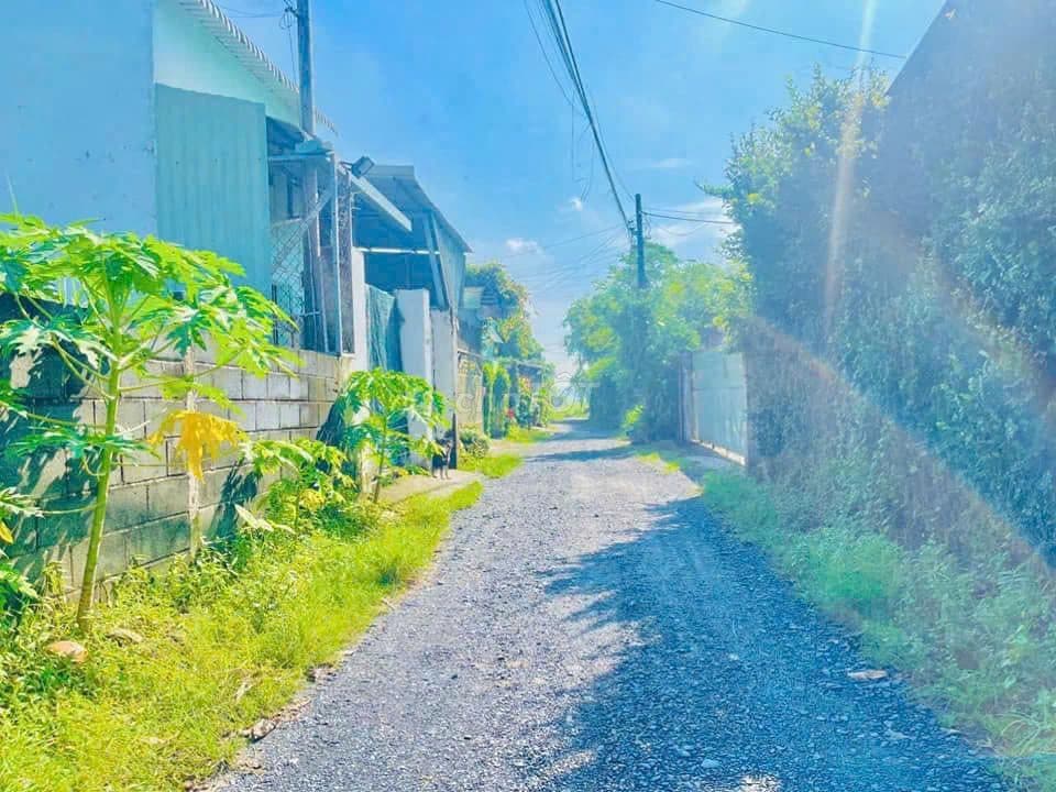 Bán lô đất 136m2 Tân Phú Trung gần Chợ Giồng Cát thổ cư xây nhà tự do - Ảnh 3