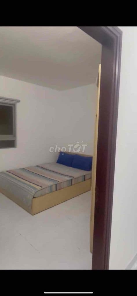 Chung cư cho thuê giáp q1 q5 q10 q6 - Ảnh 3