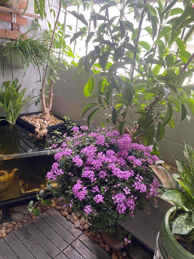 Chính chủ bán chung cư quân đội Thạch Bàn - Ảnh 3