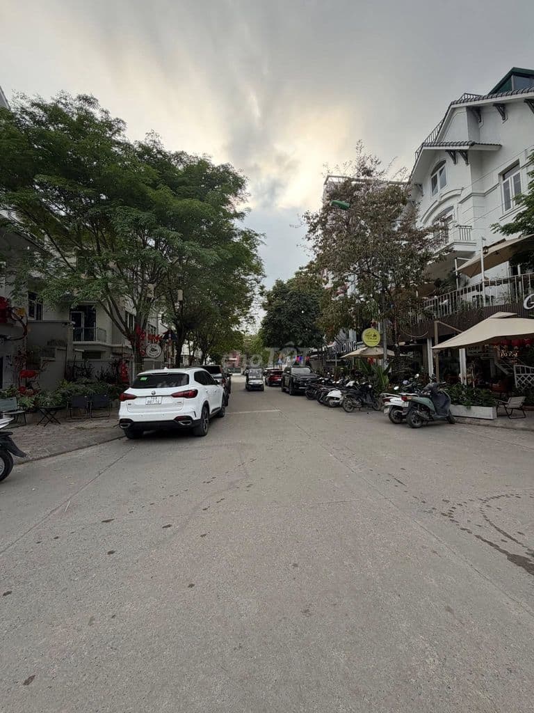 SIÊU PHẨM BIỆT THỰ NHÀ VƯỜN MT 15M GELEXIMCO 142M2 45 TỶ . - Ảnh 3