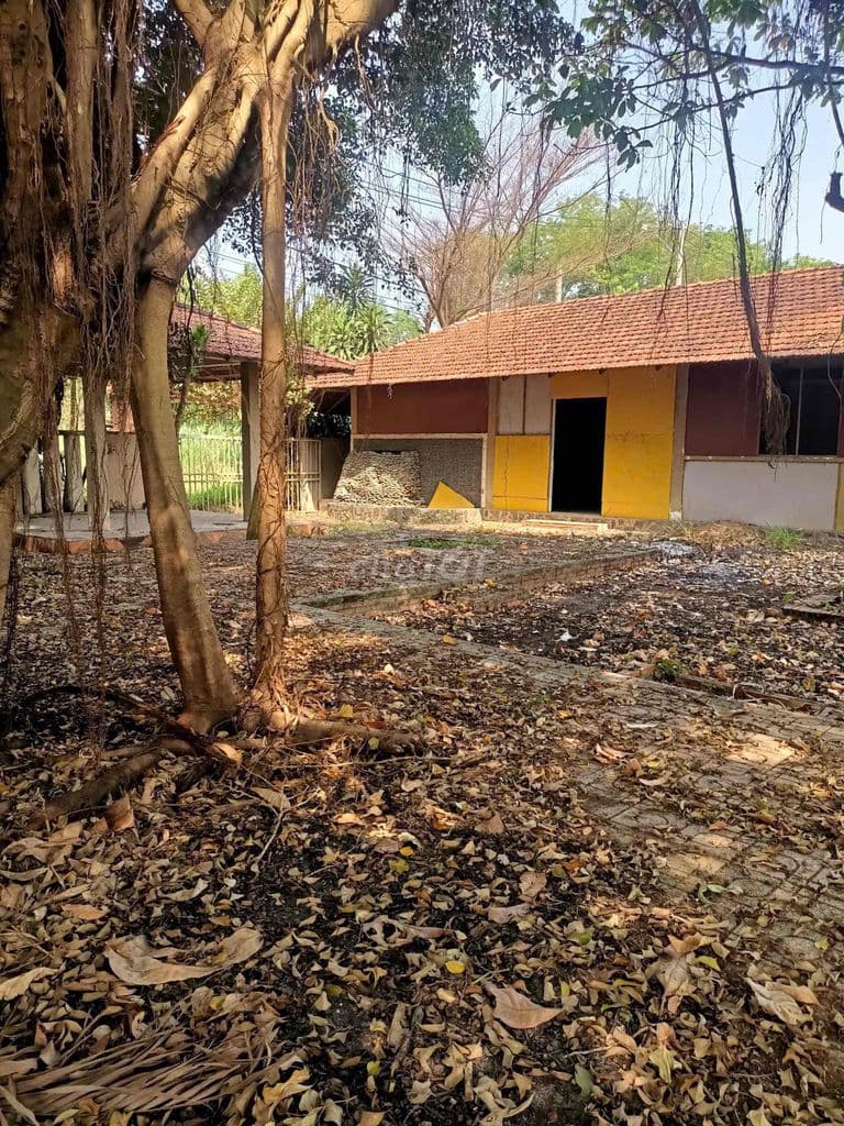 Cần Bán Gấp Lô Đất 2 MT ở Củ Chi Dien tich 676m (thổ cư 300m) - Ảnh 3