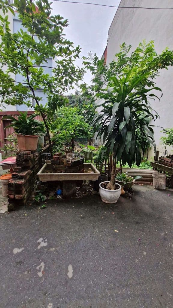 Đất Xây nhà cho thuê thì gà đẻ trứng vàng - Ảnh 2