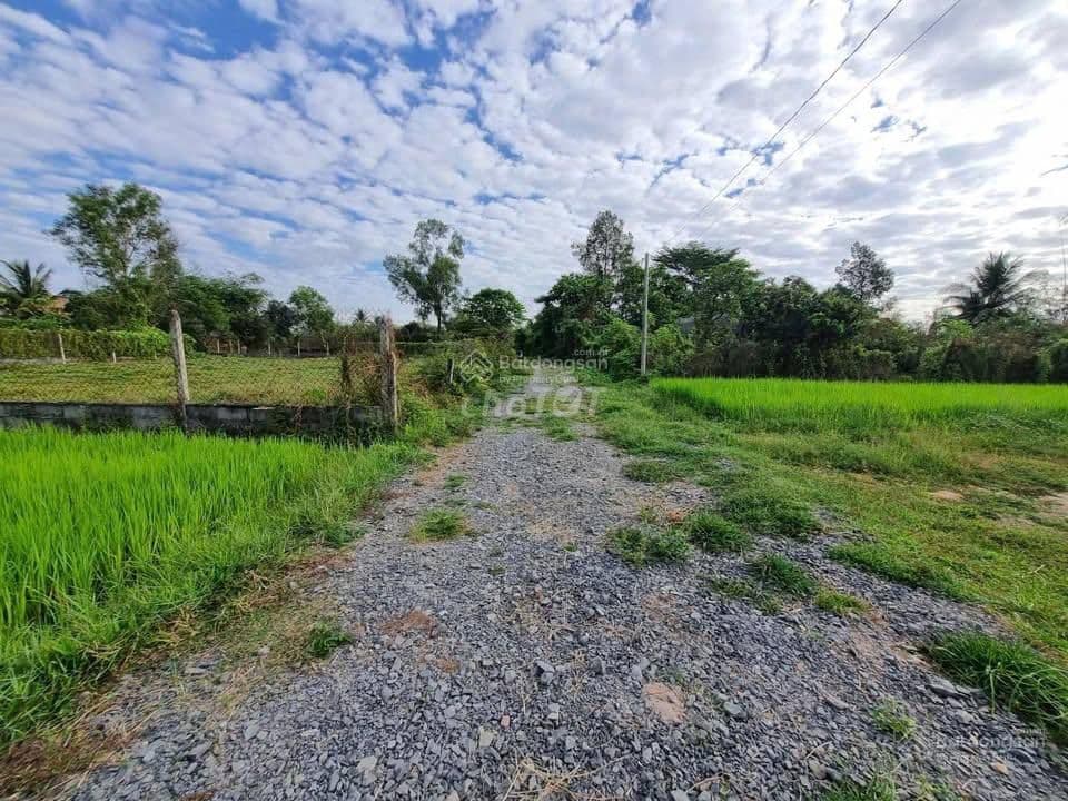 Bán lỗ bán 123,3m2 đất full TC, X.Phước Thạnh Củ Chi Giá 1.3ty