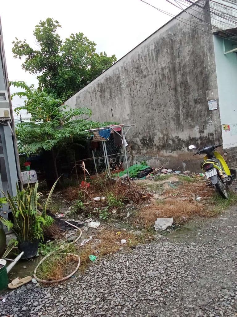 Bán đất vườn đường Nguyễn Thị Kéo - Ảnh 2