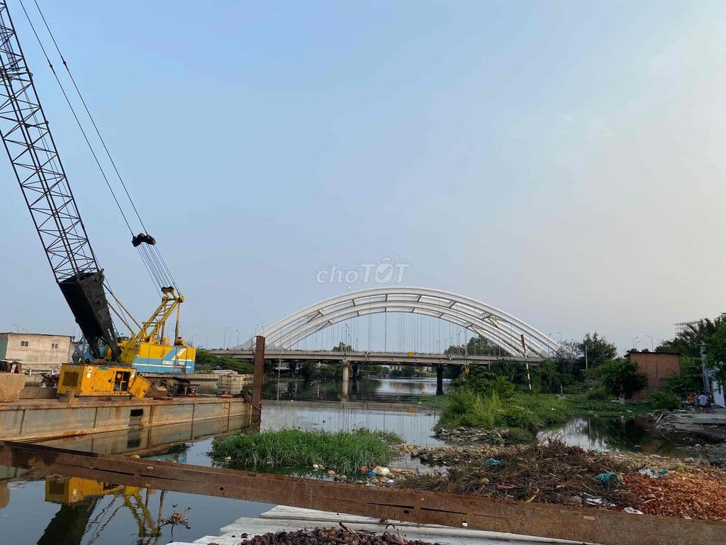 cần tiền bán đất vườn xã hình hưng bình chánh quốc lộ 50 - Ảnh 3