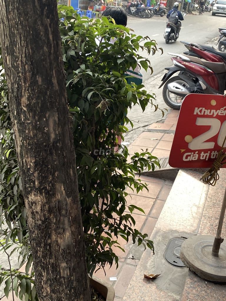 Bán đất tặng nhà 4T mặt đường Phú Diễn, đối diện xưởng sơn HN, 38m2 - Ảnh 3