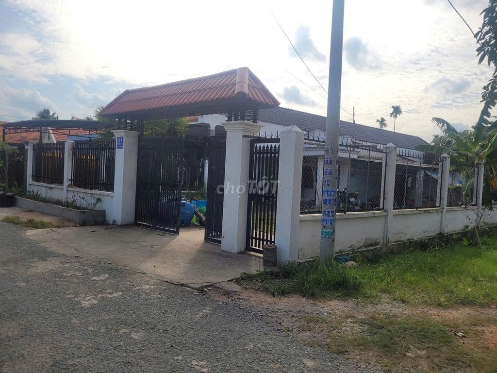 Đường Nguyễn Thị Nghiêm, dt 411m, có 102m thổ, xã Bình Mỹ. - Ảnh 3