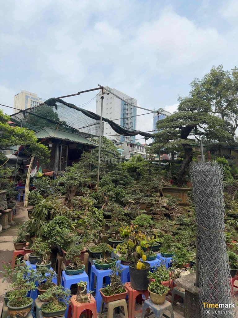 Phân Lô Vạn Phúc-Kinh Doanh-Ô tô Tránh-Lô Góc 44m 6T Thang Máy Hơn11Đ - Ảnh 2