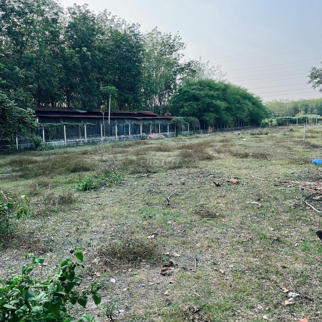 Bán gấp lô đất Xã Nhuận Đức, tổng dt 2550m2, 500m2 đất ở, 13.5 tỷ TL - Ảnh 2