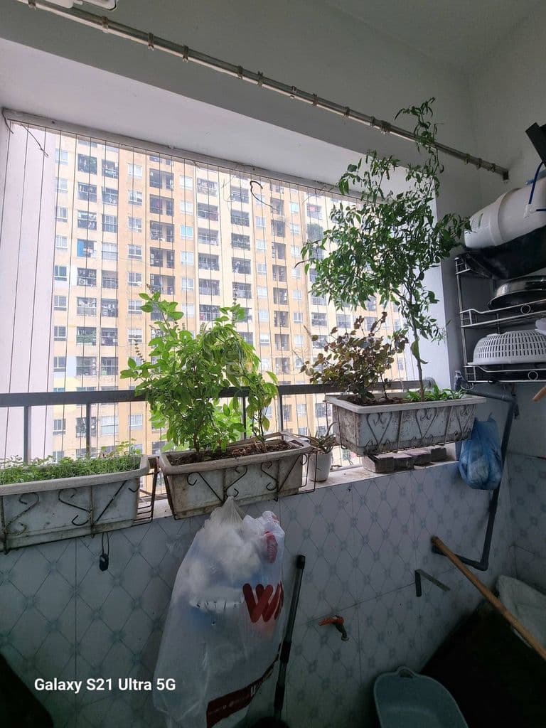 🏡 2 NGỦ GIÁ MỀM CT8A ĐẠI THANH – 55M² SỔ HỒNG