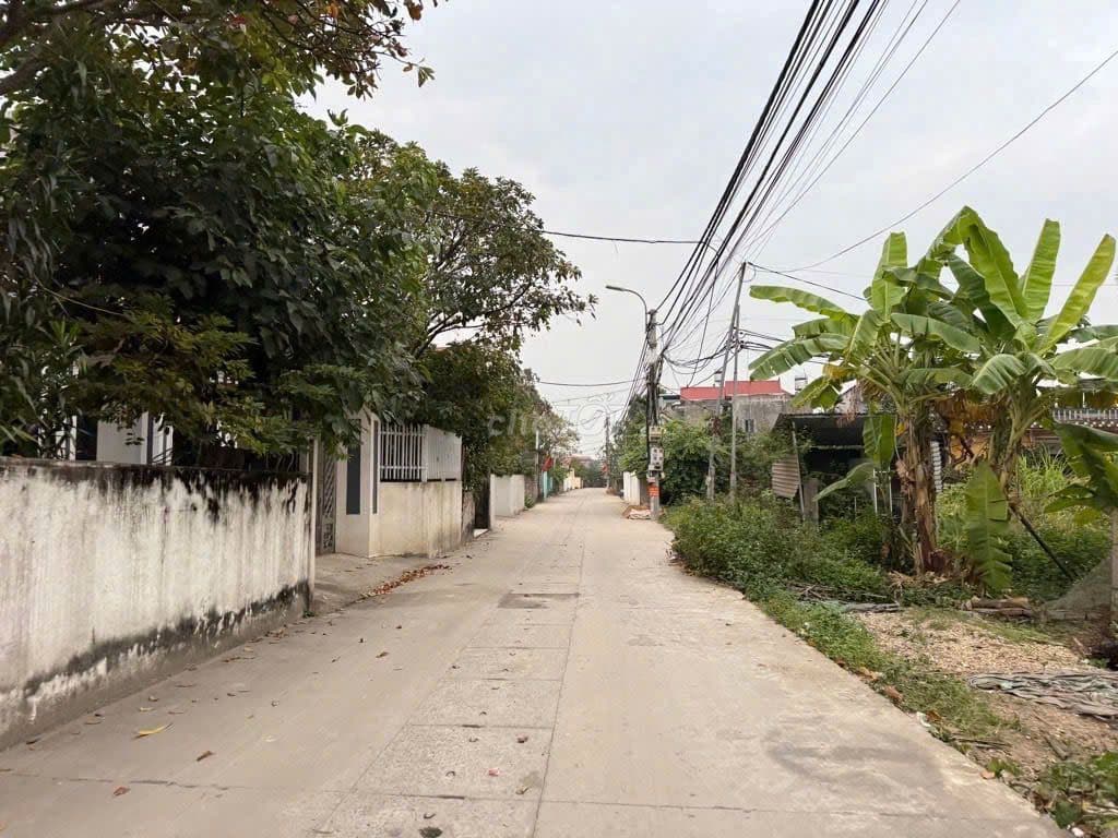 ❤️🔥Bán 69m2 Tổ 9 TT Quang Minh – Ô Tô 7 chỗ ngủ trong đất – Vuông Vắn - Ảnh 3