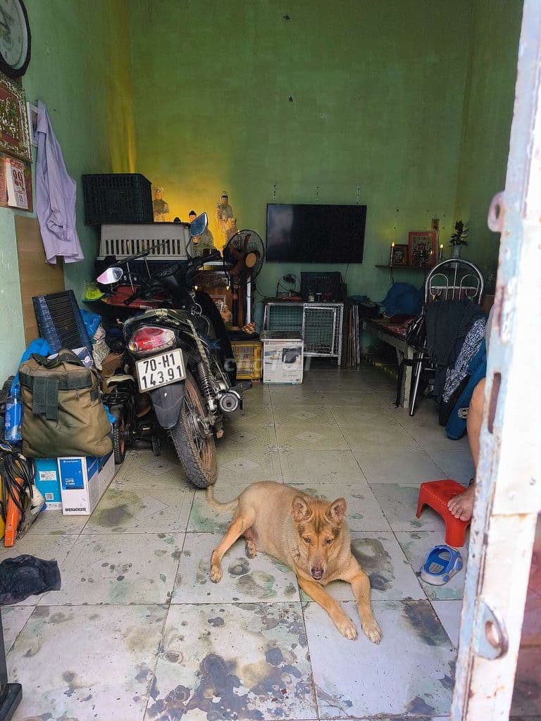 nhà ở cấp 4, khu vực hóc môn, - Ảnh 2