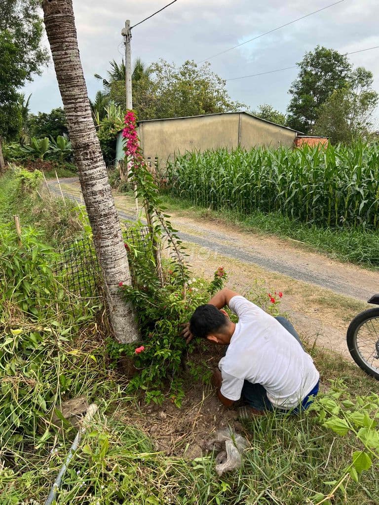 đất nn làm đa muc đích dt gần 3 hec ta nat tiền kenh Quyet thắng thông - Ảnh 2