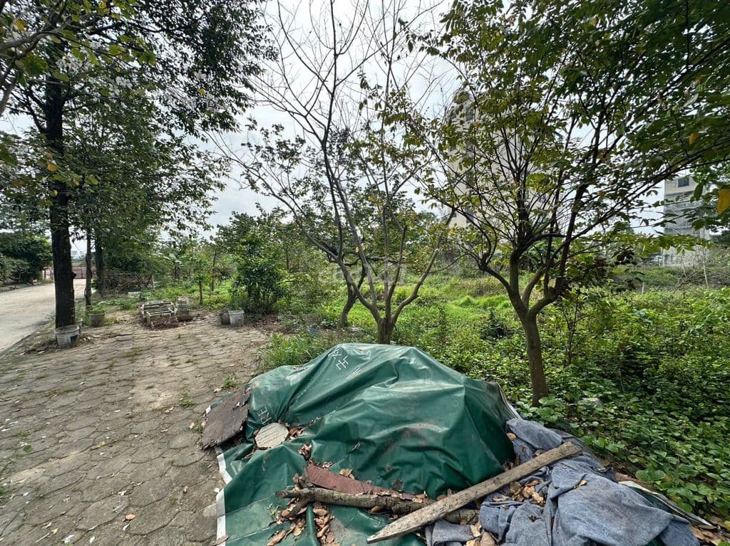 Bán Liền kề đẹp xuất sắc tại KĐT Thanh Hà Mường Thanh, giá 11,5tỷ