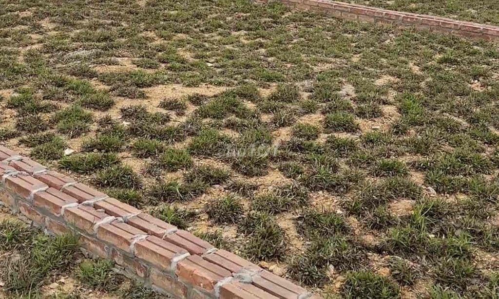 Đất 186m2 Sổ đỏ Giá Đặc Biệt Hời *** Tại Sơn Tây - Ảnh 2