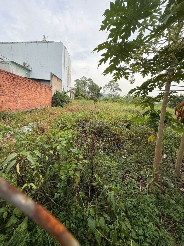 Gấp đất Ngô Chí Quốc, Tam Bình, 1000m2 giá chốt chỉ 16.5 tỷ, liên hệ