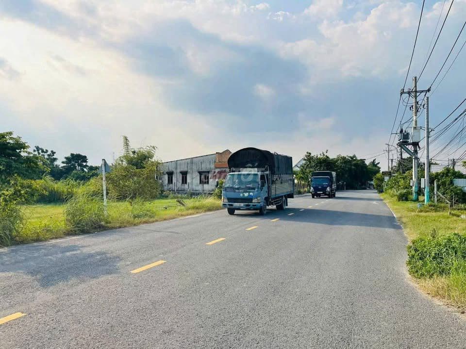 Đất Củ Chi Giá rẻ 347m2 có sổ hồng. MT đường lớn Đầu tư sinh lời - Ảnh 3