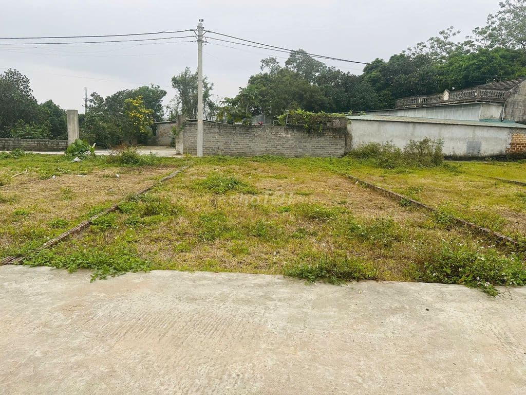 LÔ ĐẤT ĐẸP QUÁ, 100M2 FULL ONT, CHỈ CÓ HƠN 2 TỶ - Ảnh 3