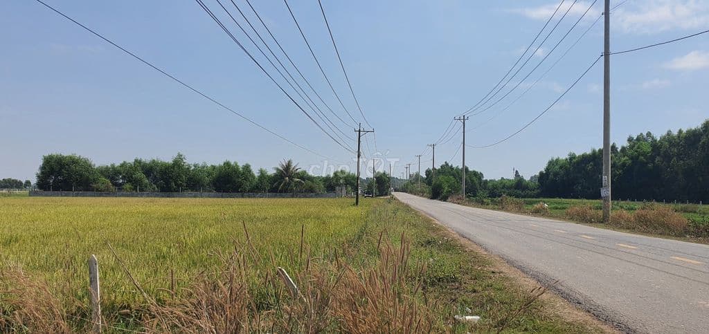 Mặt tiền TL7, Thái Mỹ sát Vinhomes Tân Mỹ - Ảnh 2