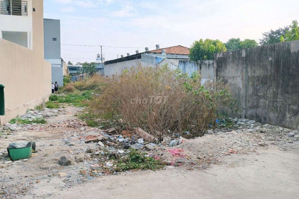 Đất thổ cư SHR 1/Thới Tứ 1-Thới Tam Thôn-Hóc Môn.Dt 6x25~180m2~4,5ty - Ảnh 3