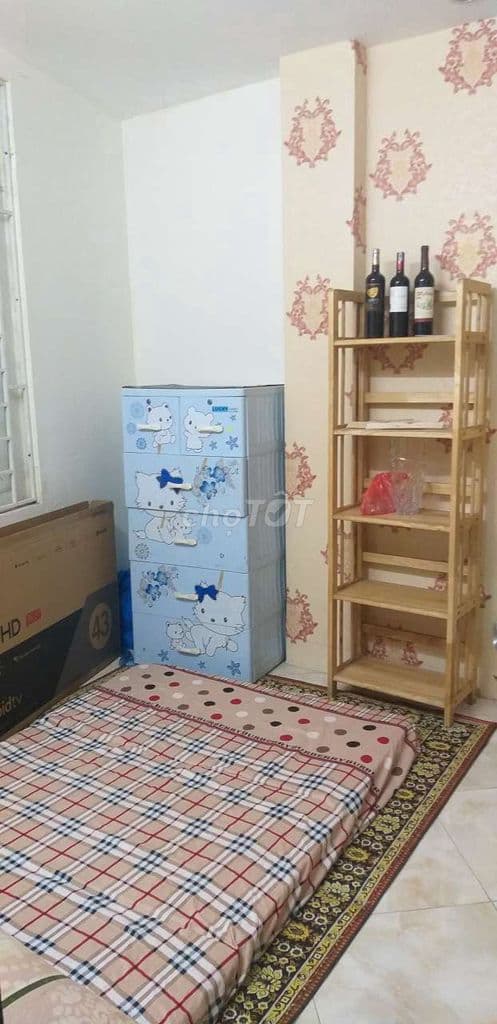 cho thuê căn hộ 47m2, 2 p.ngủ, 1 wc, đầy đủ nội thất - Ảnh 3