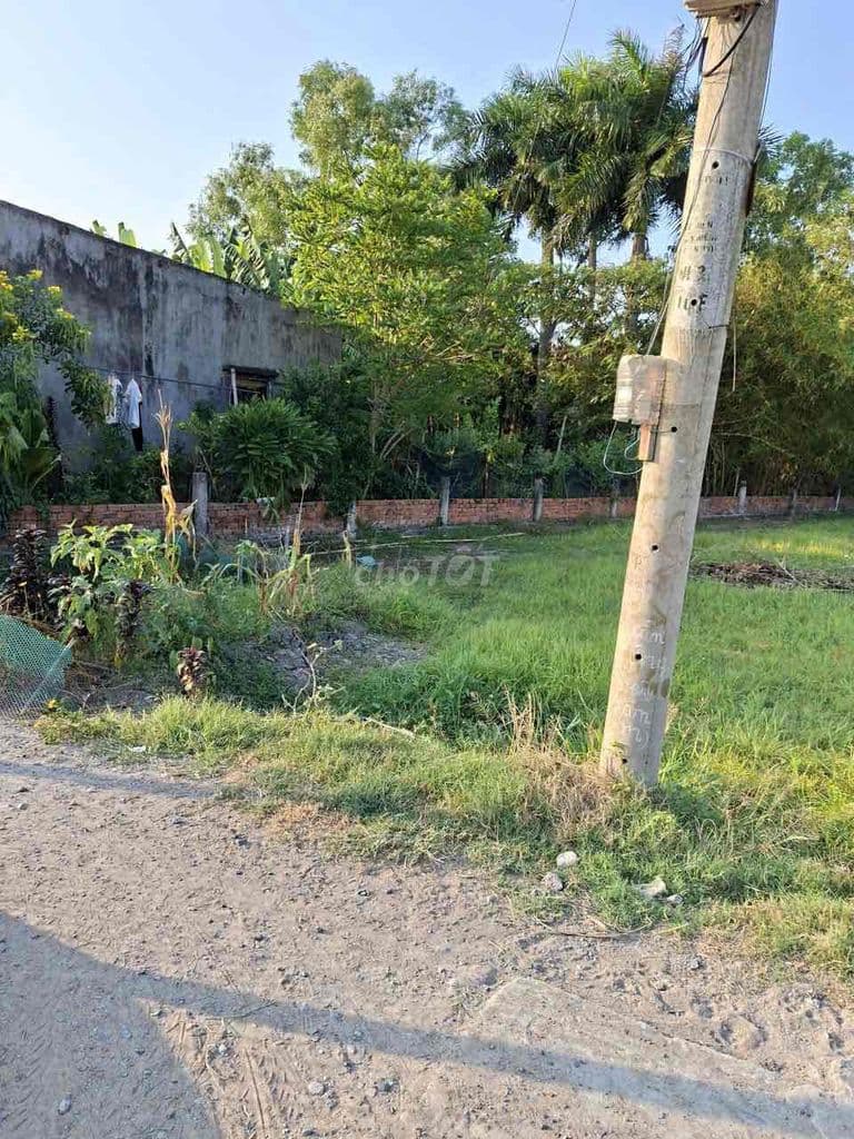 Bán đất 1000m2 thổ cư 860m2 Xã Hưng Long giá rẻ 8.5ti - Ảnh 2