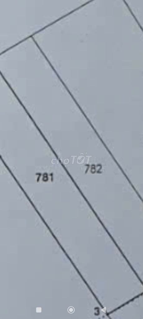 Bán 2 lô liền nhau 5*34m = 170m2. Tân Thới Nhì. Hocmon - Ảnh 2