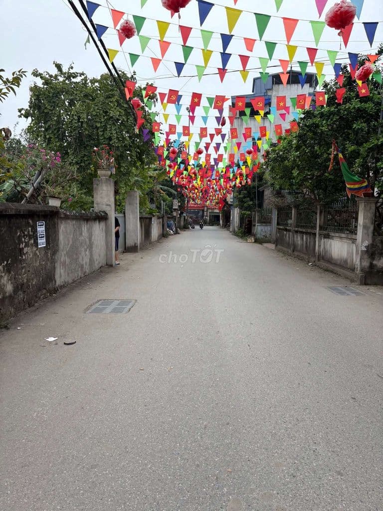 Bán đất Phụng Châu Chương Mỹ giá 2 tỷ 3 vỉa hè đường thông - Ảnh 3