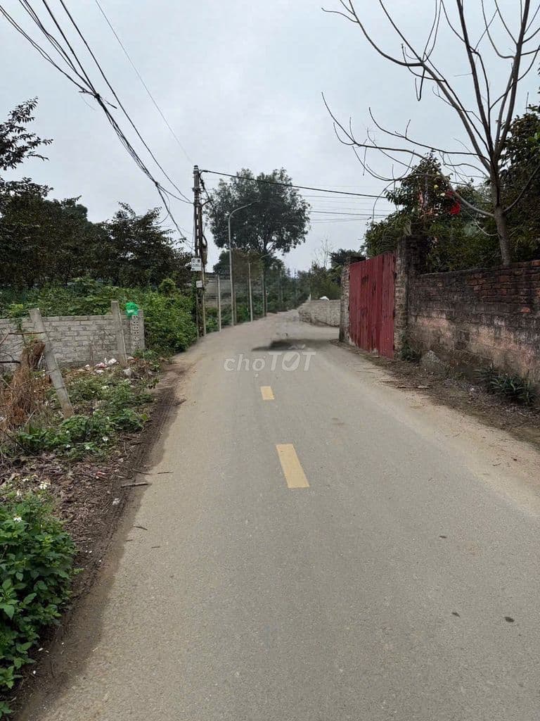 Bán 100m Thổ Cư- Sổ Đỏ Hà Nội -Trục Chính Ô Tô Tránh Gần VD5 Giá Rẻ - Ảnh 2