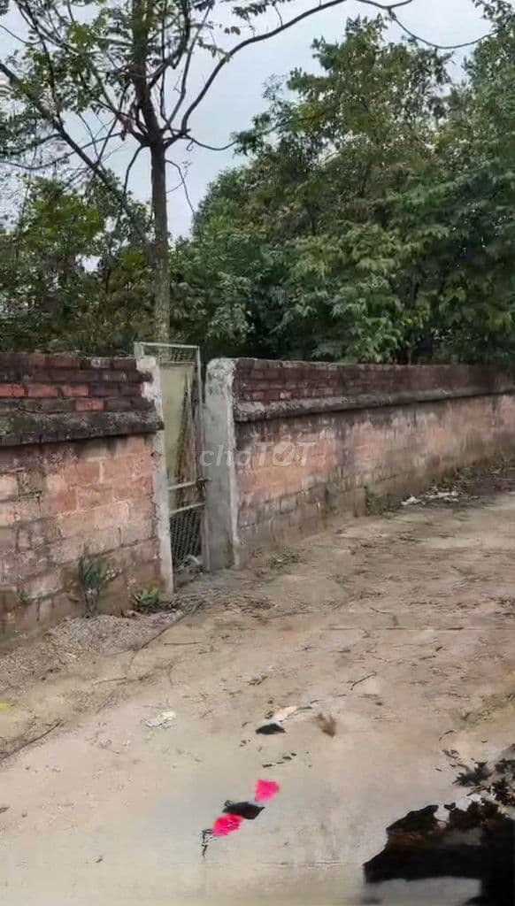 Bán 100m Thổ Cư- Sổ Đỏ Hà Nội -Trục Chính Ô Tô Tránh Gần VD5 Giá Rẻ - Ảnh 3