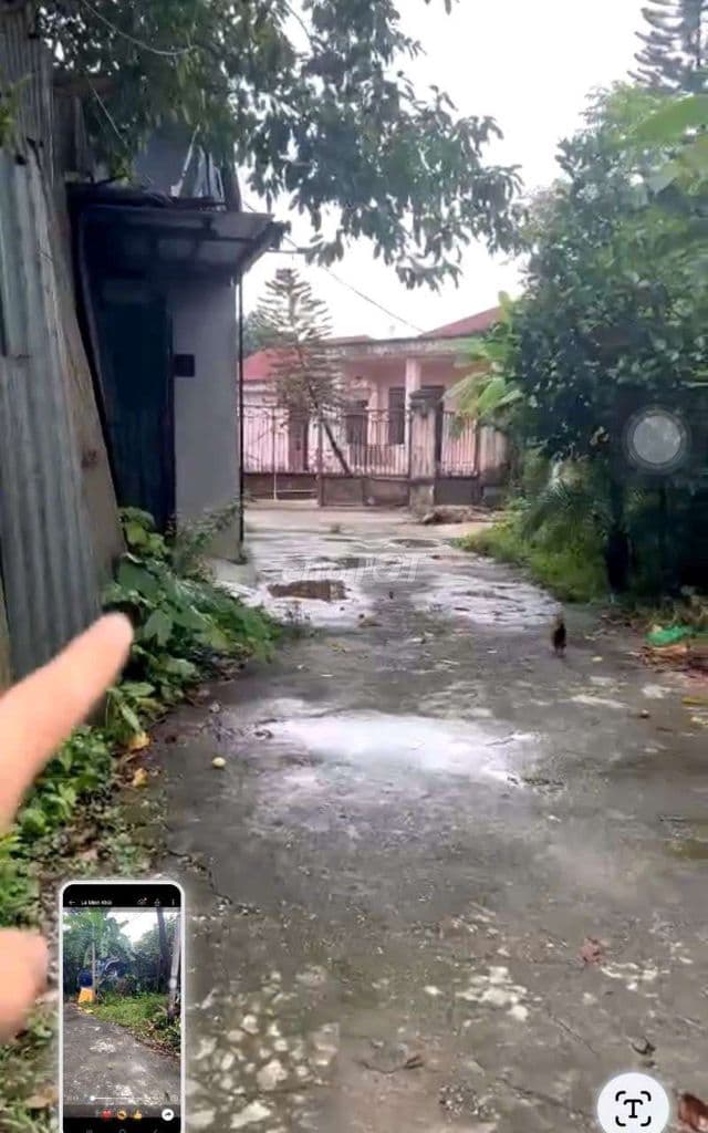 Bán vườn tại Phú Diễn, đẹp oto vào tận nơi - Ảnh 2