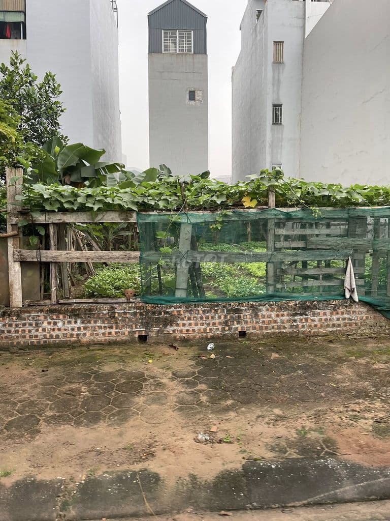 Bán đất tái định cư giang biên, 73m2 giá tốt - Ảnh 2