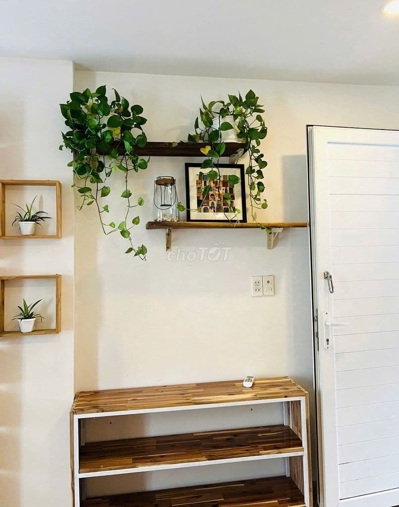 CĂN HỘ FULL NỘI THẤT QUẬN 1 CỬA SỐ SIÊU THOÁNG - Ảnh 2