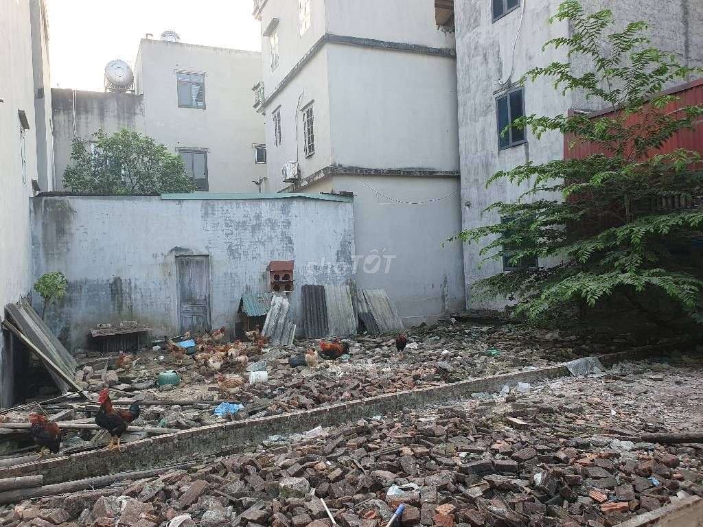 chính chủ bán đất tam hưng phân lô ô tô chạy vòng quanh - Ảnh 2