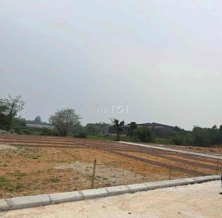 Chính chủ bán đất Trung Giã Sóc Sơn - Ảnh 3