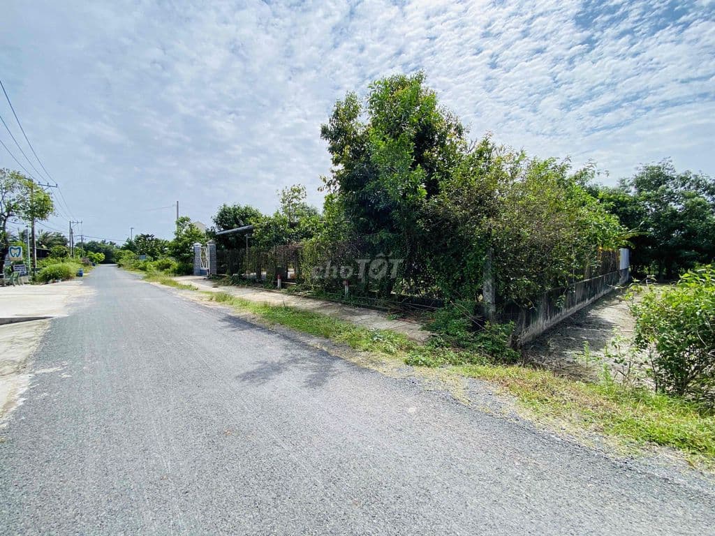 Đất thổ cư KĐT Tây Bắc Basa Củ Chi - TL mạnh - Ảnh 3