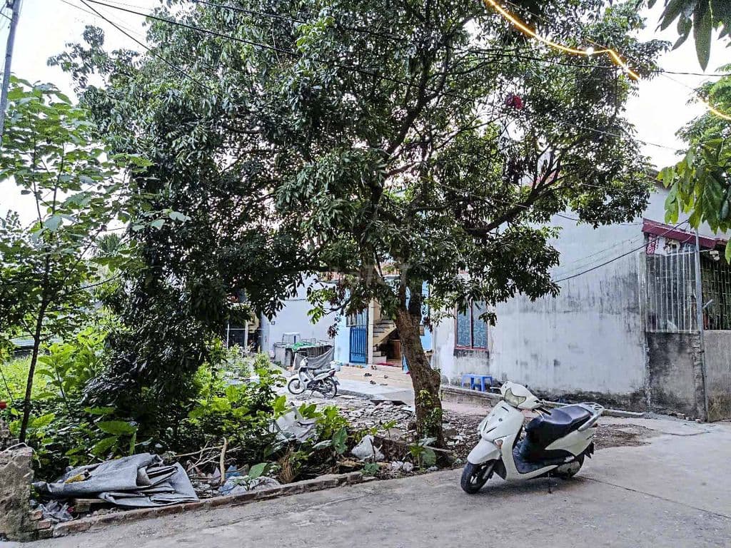 BÁN ĐẤT ĐÔNG MỸ THANH TRÌ - CƠ HỘI AN CƯ DỄ DÀNG - 40.6M - CHỈ 2.6 TỶ - Ảnh 3