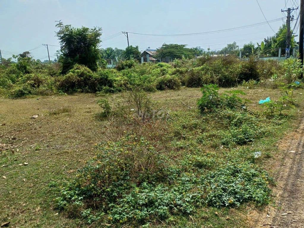 🌿 SIÊU PHẨM ĐẤT LỚN HIẾM –2 LÔ ĐẤT MỖI LÔ HƠN 1000m² TỔNG HƠN 2000m, - Ảnh 2