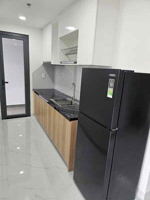 Cho thuê căn hộ Biconsi Phú Mỹ C2 2Pn 2Wc- Phú Mỹ- Thủ Dầu Một- Bình